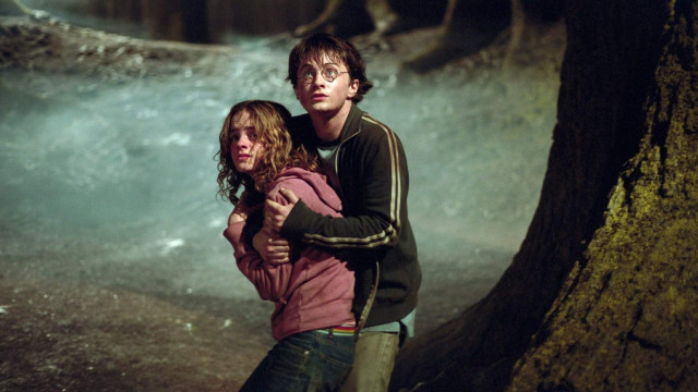  Місце, що надихнуло Дж. К. Роулінг на Заборонений ліс